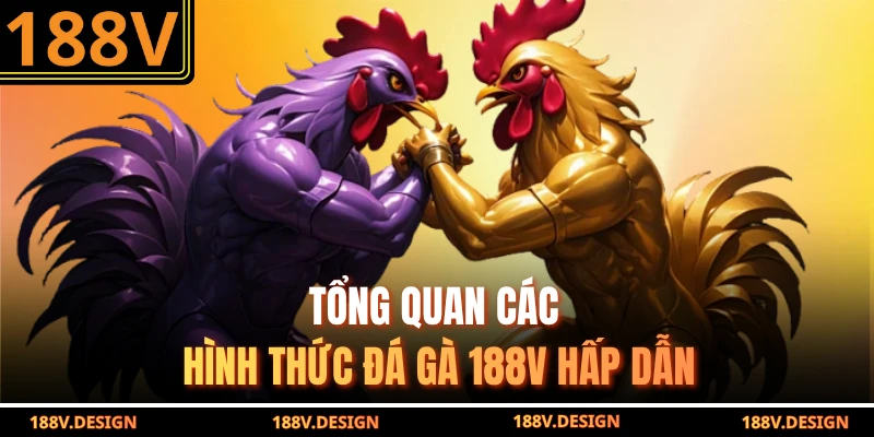 Tổng quan các hình thức đá gà 188V hấp dẫn